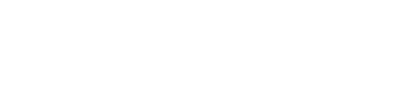 SecureOpinion Logo